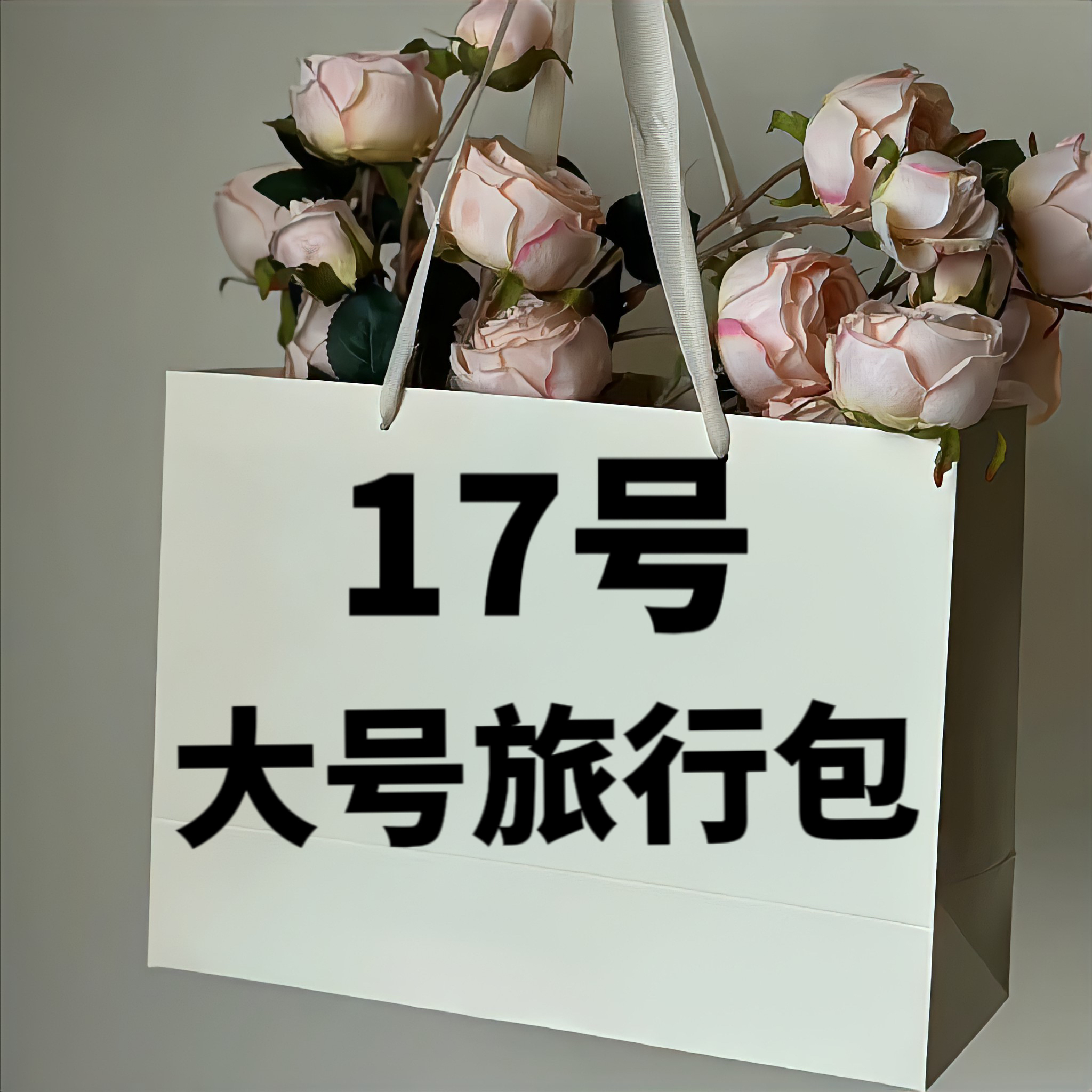 【17号】 大号旅行包 轻奢时尚百搭女士 78037