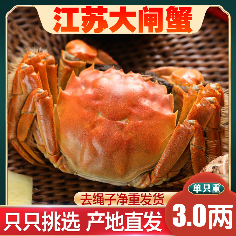 【活蟹】京湖精品大闸蟹江苏螃蟹3两母+4两公6/8/10只京东顺丰