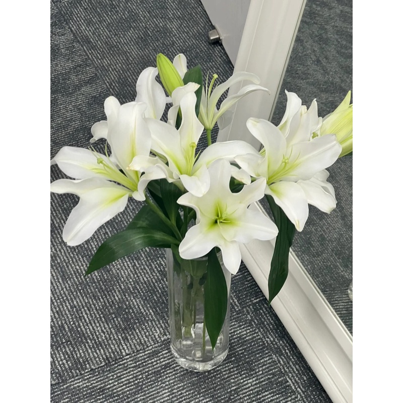 【大聪明卖花】白铁炮百合 任意两单花材升级顺丰冷链或德邦快递