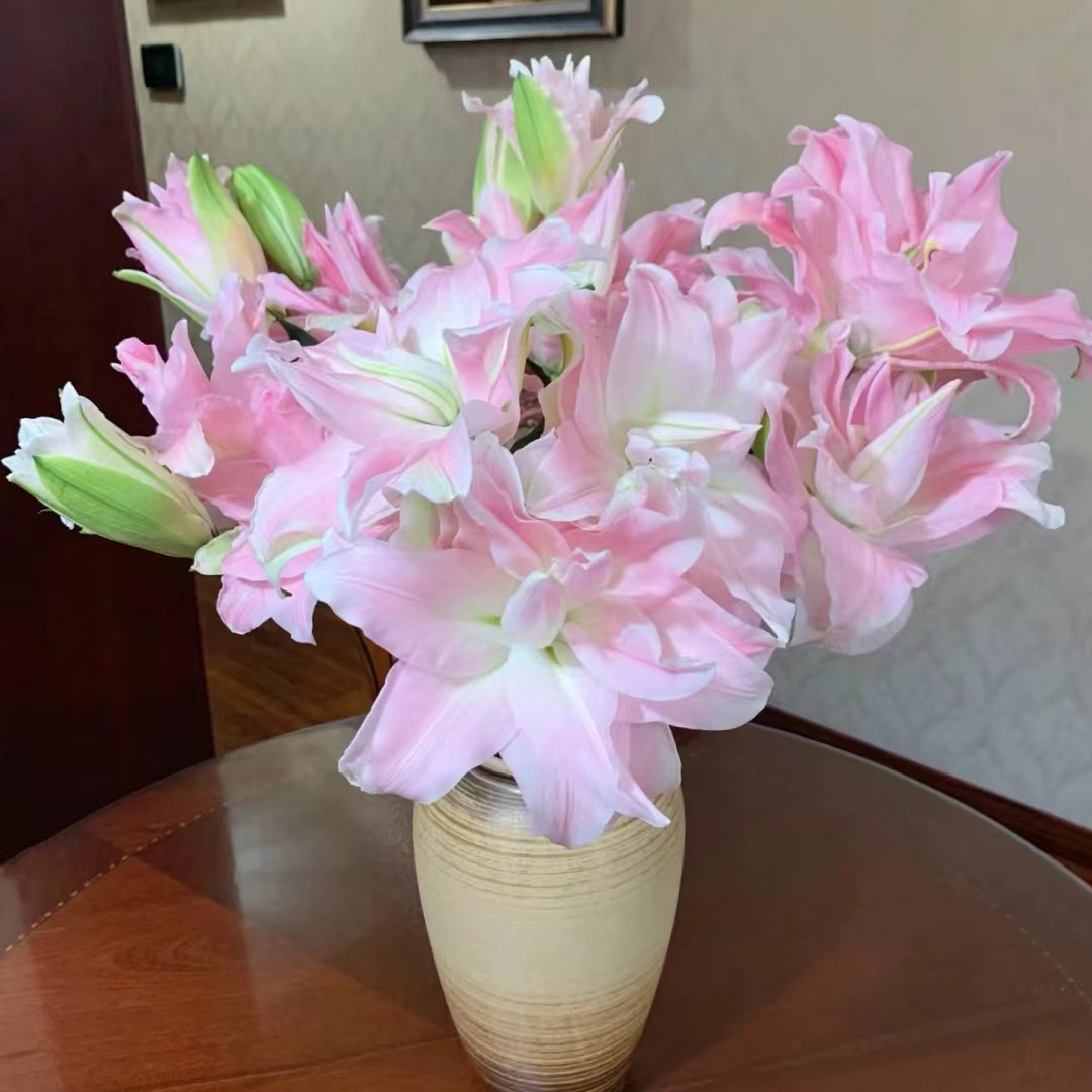 【大聪明卖花】贵妃重瓣百合任意两单升级顺丰冷链或德邦快递