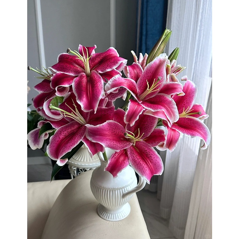 【麒麟花开】黑美人百合花鲜花云南基地直发情人七夕节花束鲜切花