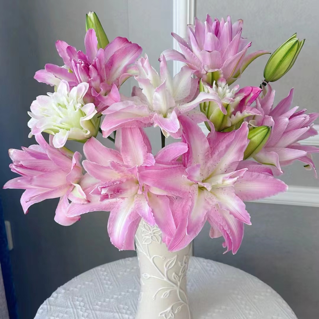 【大聪明卖花】水蜜桃重瓣香水百合 任意2单鲜花包邮 云南鲜花