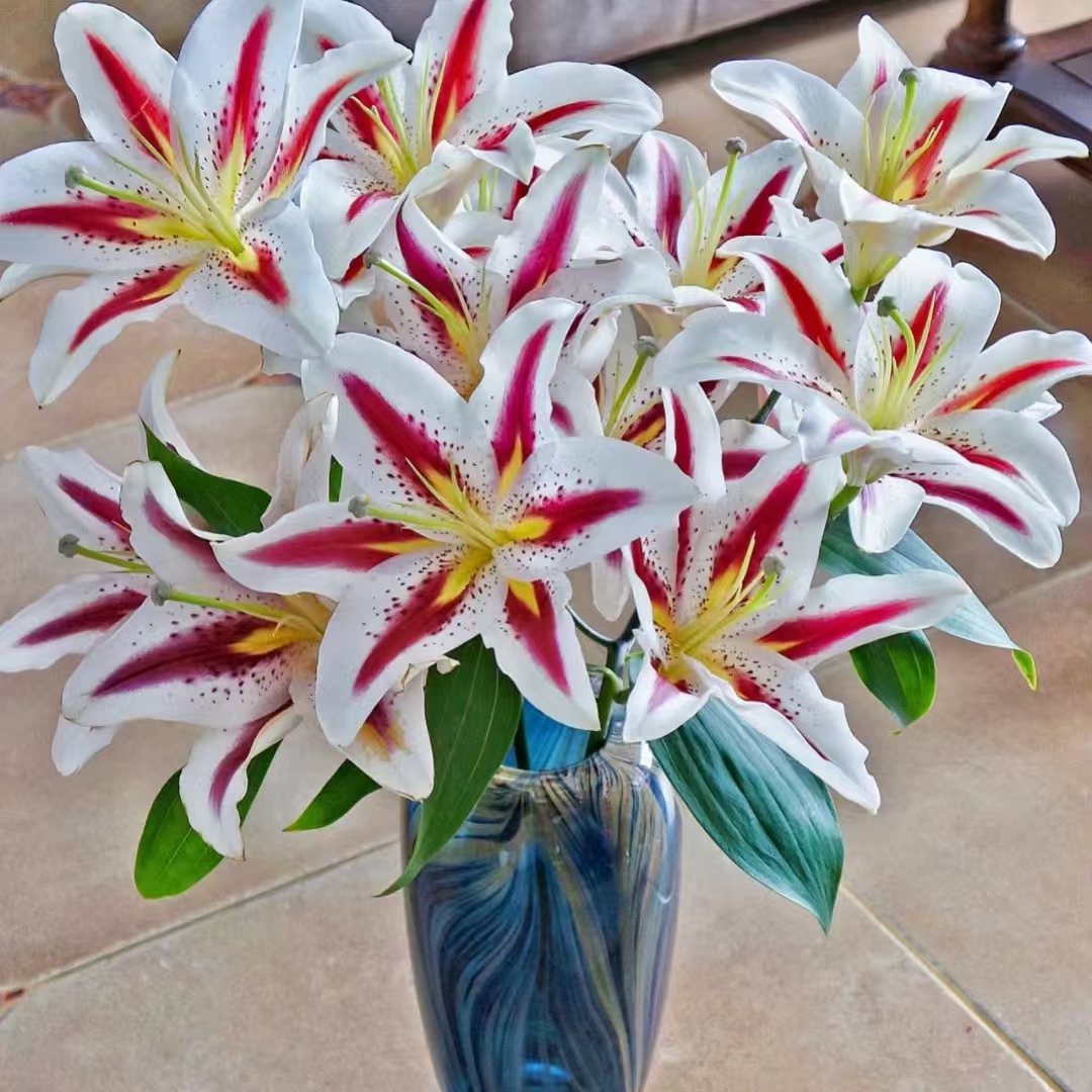 【大聪明卖花】笑脸香水百合 任意两单花材升级顺丰冷链京东德邦