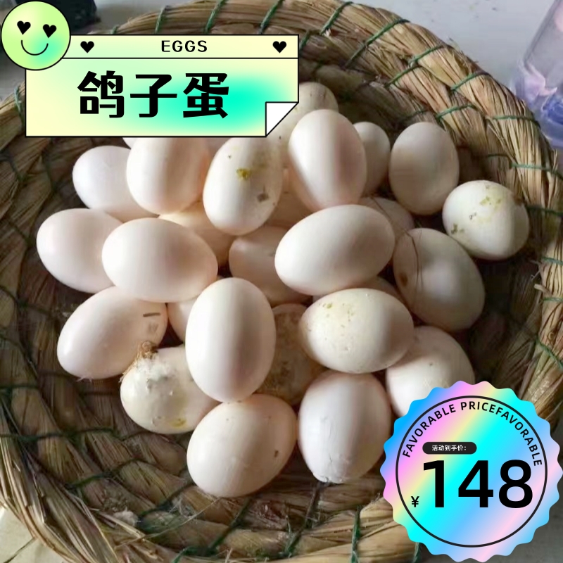 崇明本地鸽子蛋天然鸽子蛋谷饲老鸽下蛋新鲜每天限量供应天然