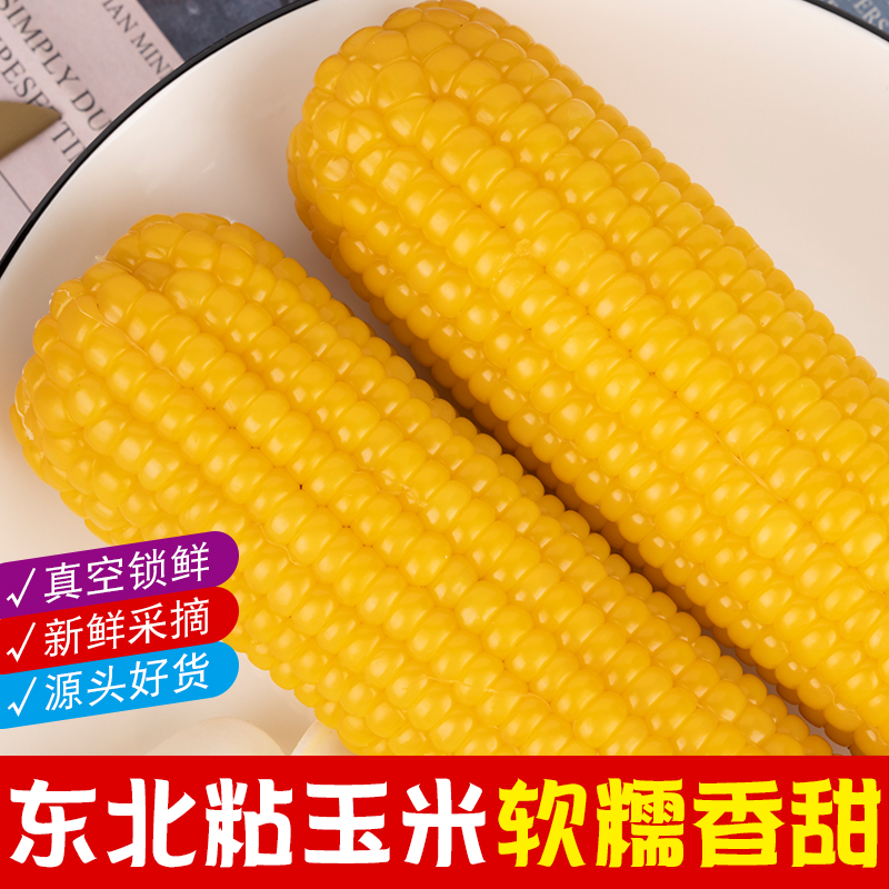 地头五斤半2025东北玉米计量称重不论支