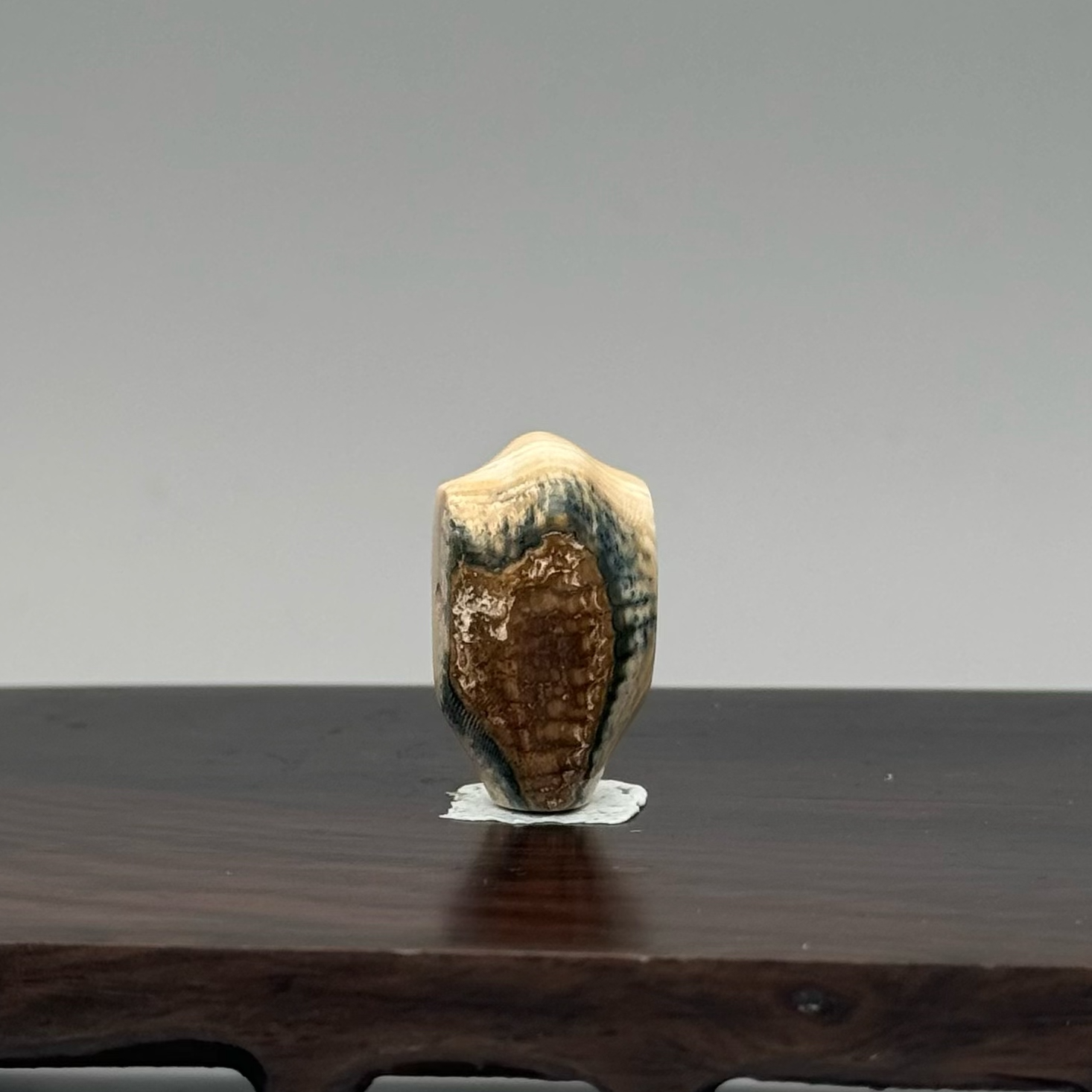 DEZHI/德志22*12*10mm蓝皮鲨鱼鳍三通3.2g猛犸牙F859