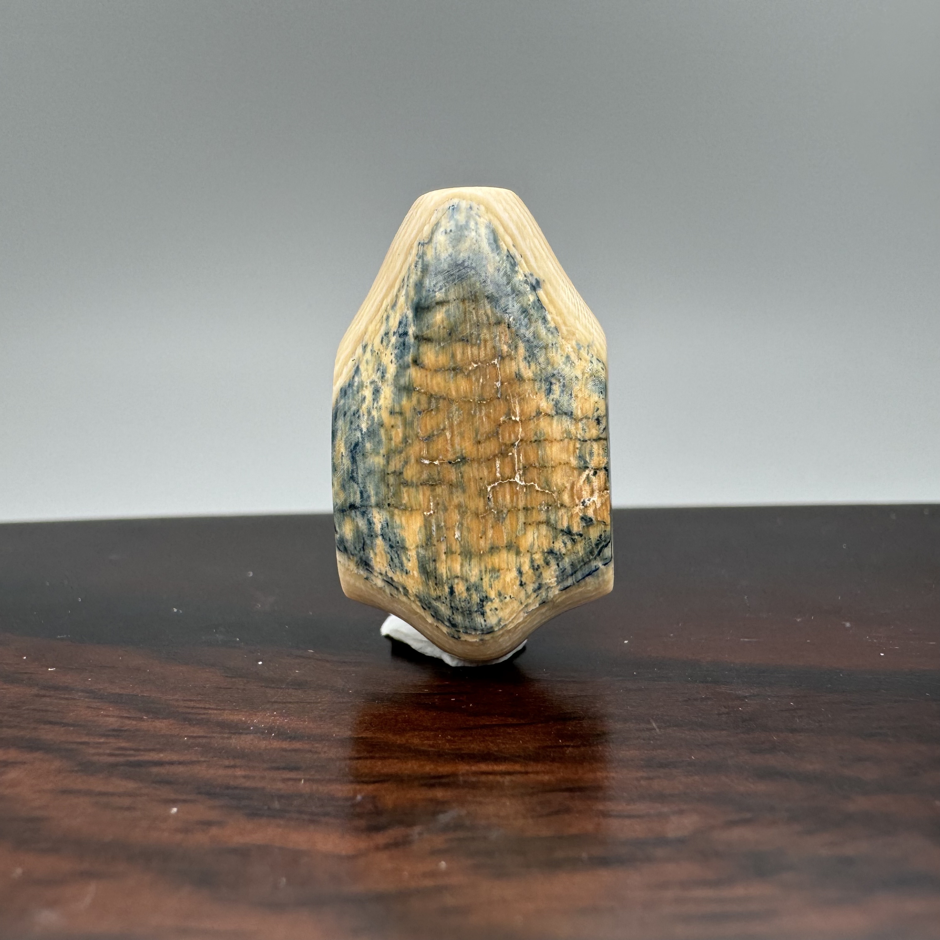 DEZHI/德志约27*15*13mm蓝皮鲨鱼鳍三通6.3g猛犸牙F649