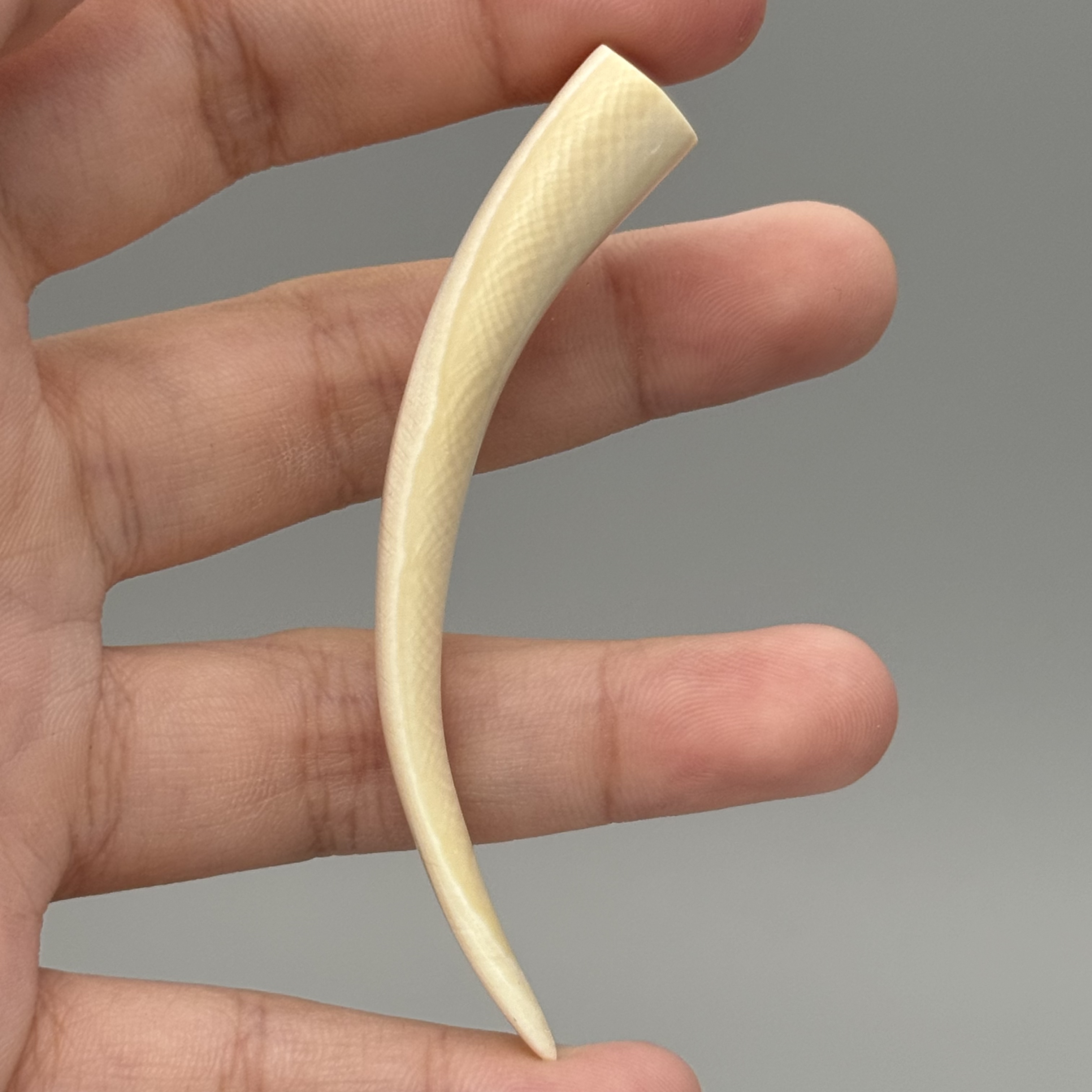 DEZHI/德志6g小牙尖吊坠天然猛犸牙默认打孔绑绳F368