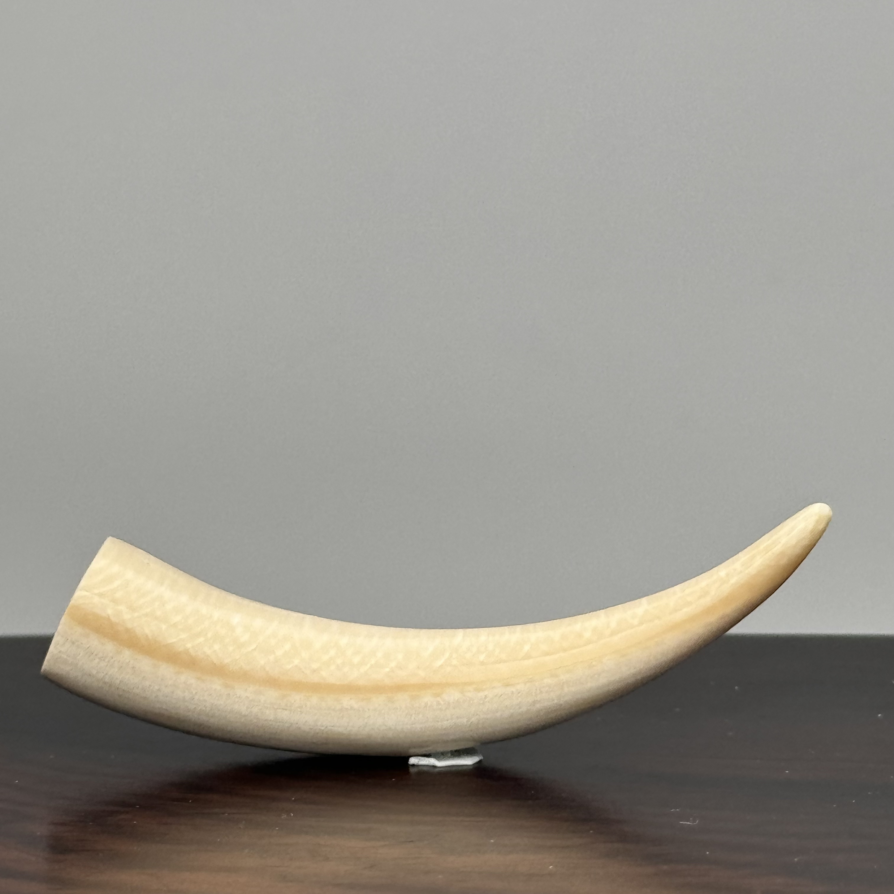 DEZHI/德志5.7g蓝皮牙尖吊坠天然猛犸牙默认打孔绑绳F736