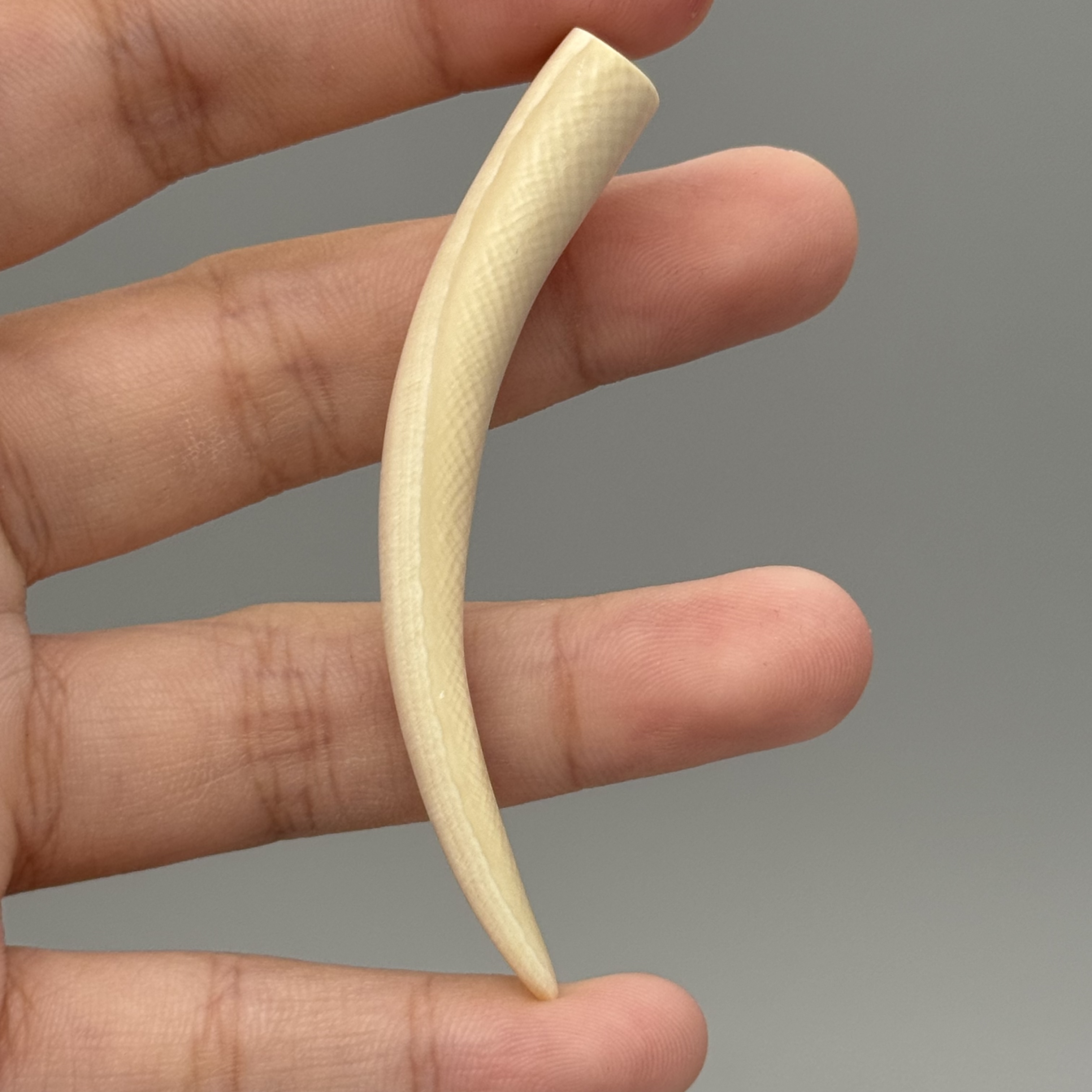 DEZHI/德志5.3g小牙尖吊坠天然猛犸牙默认打孔绑绳F296