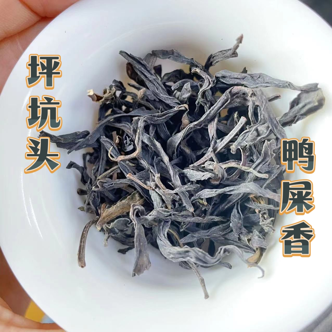 凤凰单丛茶 坪坑老枞头鸭屎香 香气高扬醇厚 多次复火碳焙茶更香1