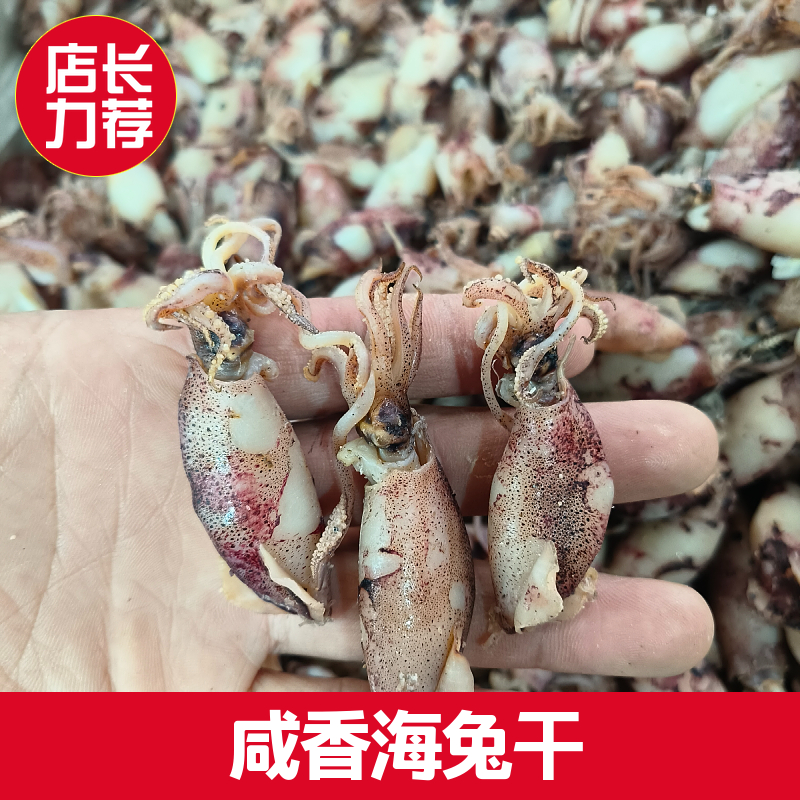 《小邱推荐》咸香 海兔 笔管鱼  小鱿鱼 250g 500g