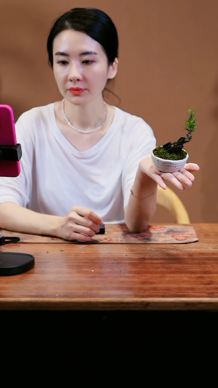 【闪购商品】栀子花