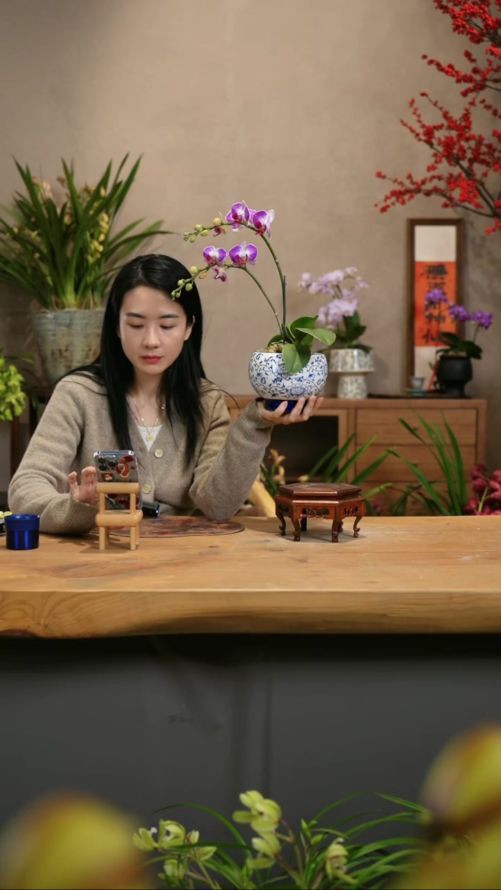 【闪购商品】小紫 青花瓷