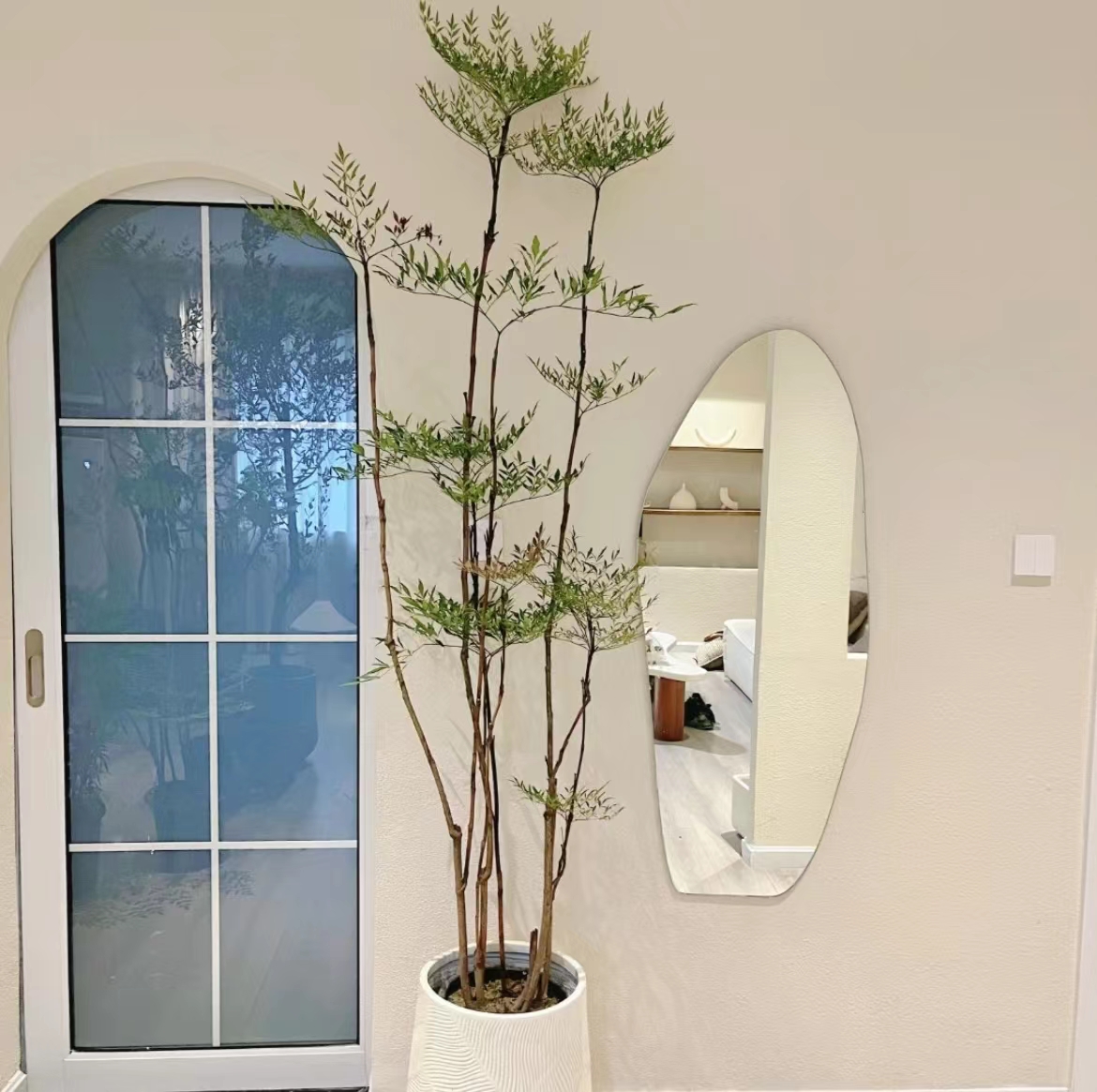 南天竹土培带根绿植盆栽北欧桌面室内地摆ins森系火焰红植物新款