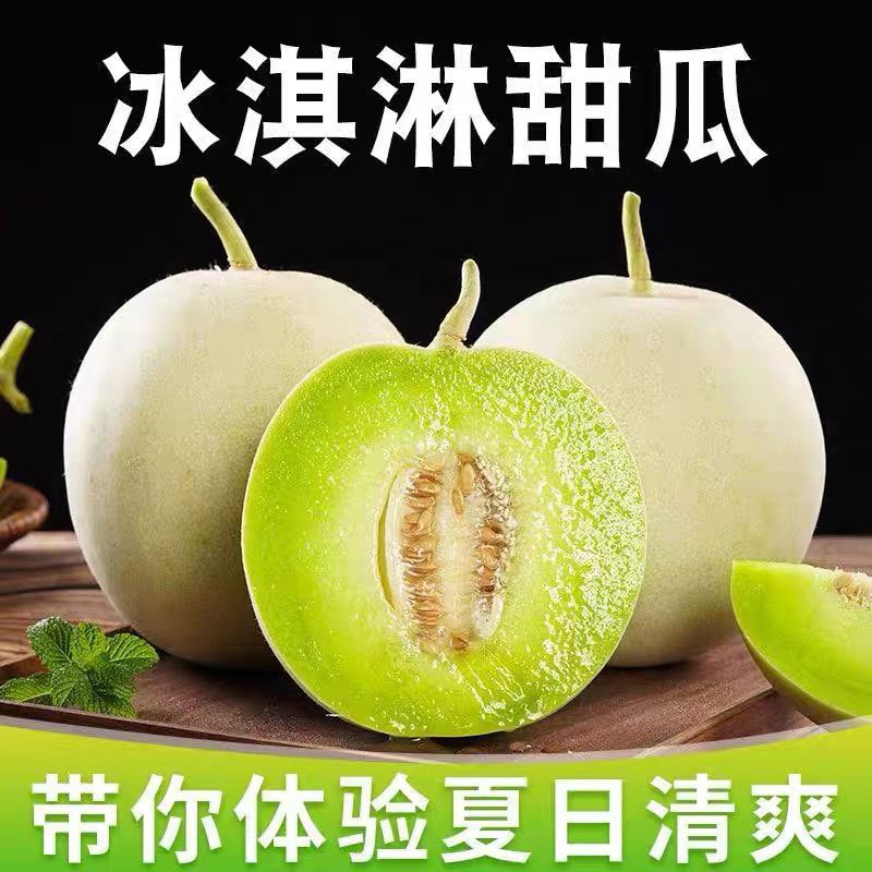 山东玉菇甜瓜甜的齁人薄皮现货奶香直发新鲜孕妇水果应季头茬现摘