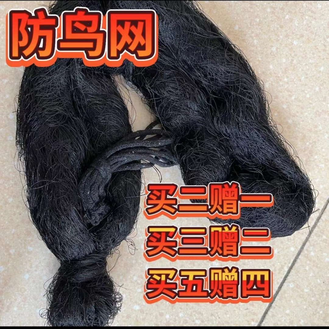 果园防鸟网防虫网果树葡萄樱桃大棚尼龙防护网果园粘网