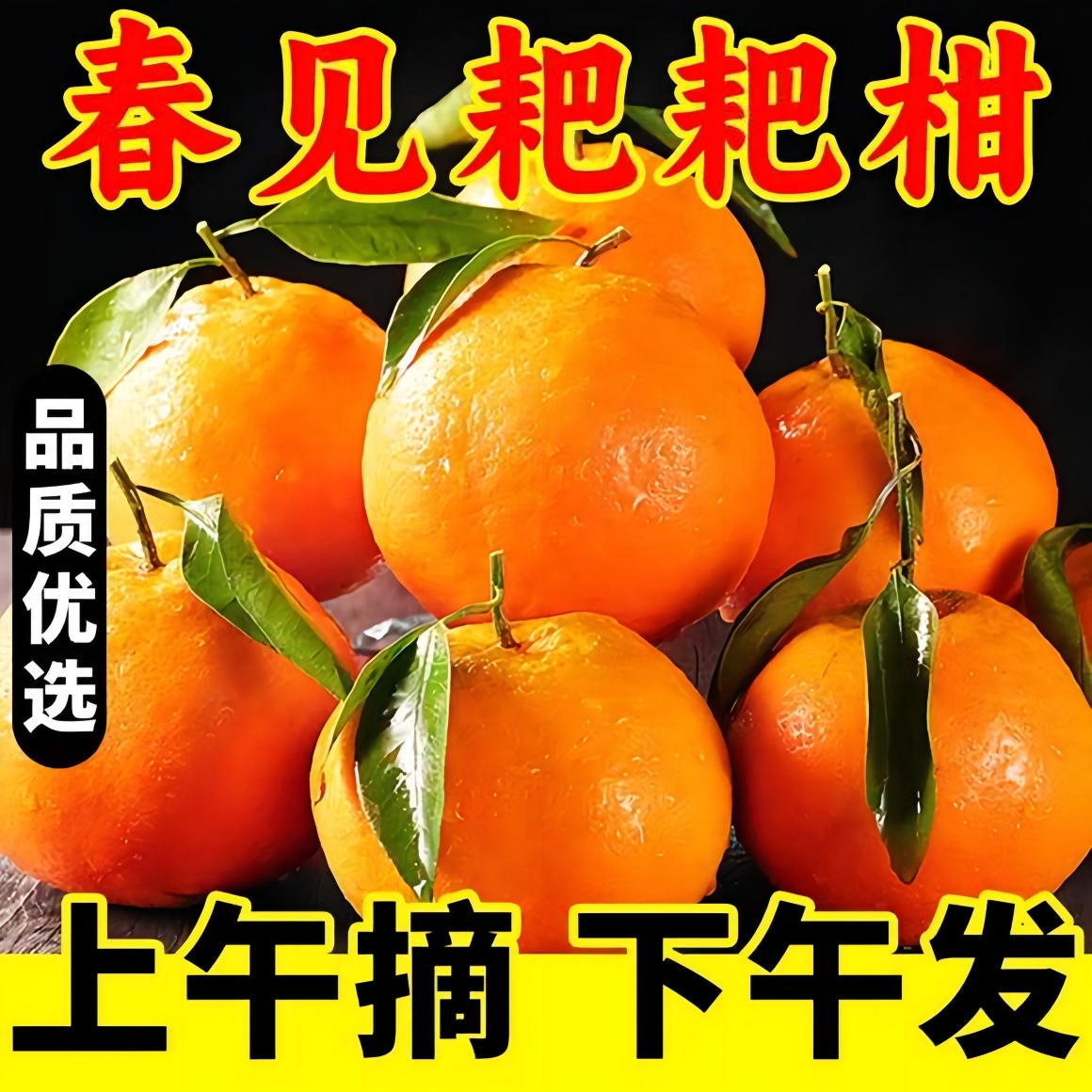 【12.12】四川春见耙耙柑橘子水果当季现摘丑八怪粑粑柑