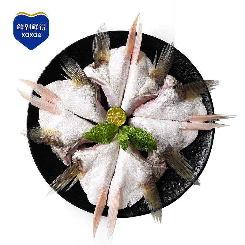 【鲜到鲜得】白蕉海鲈鱼翅300g*3