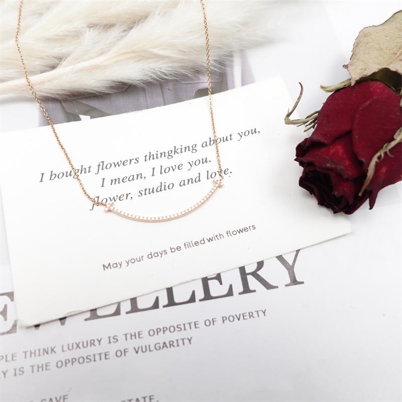 99新 Tiffany & Co./蒂芙尼 项链/T_ZY0000175347