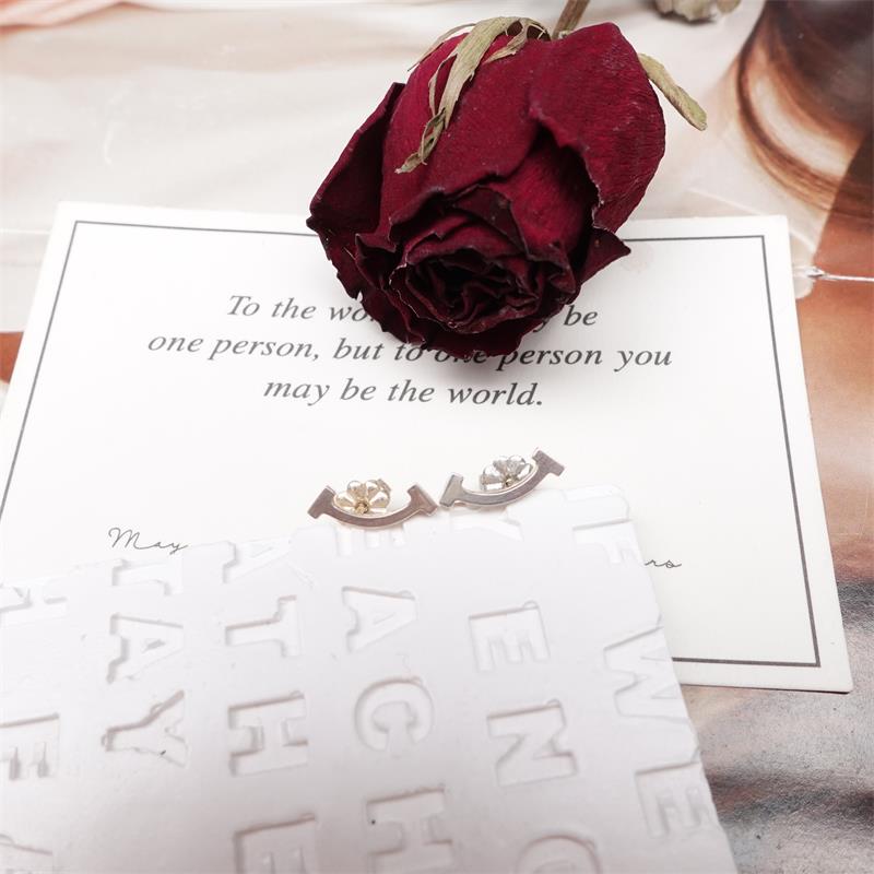 99新 Tiffany & Co./蒂芙尼 /耳饰/T_ZY0000413267