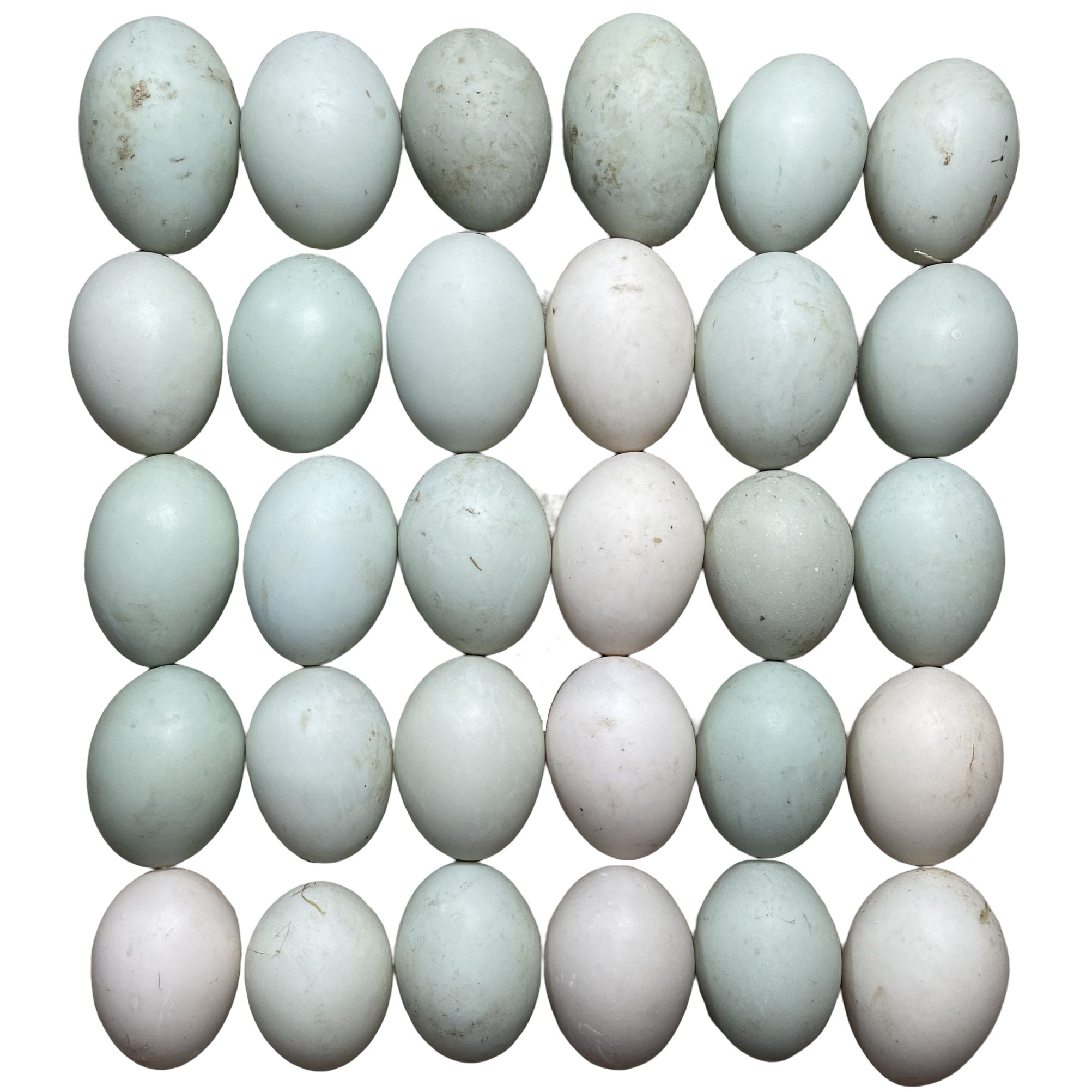 啊吉吉农家散养大鸭蛋50枚纯正散养粮食喂养6个左右称到一斤