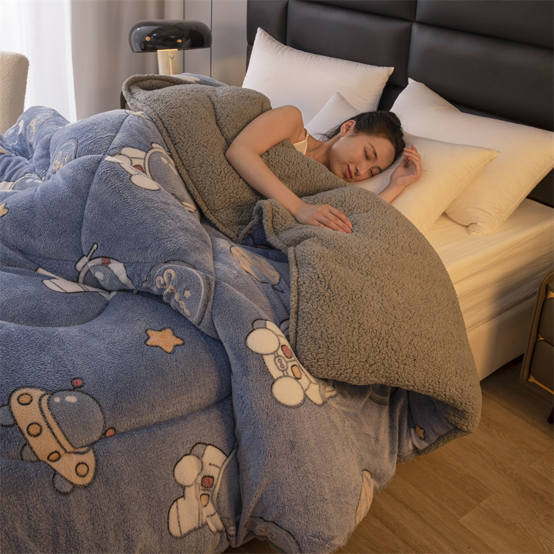 冬天保暖绒被雪花绒牛奶绒冬被加厚毛绒学生宿舍被芯双面绒免拆被