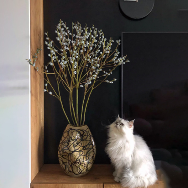 云南鲜花尤加利果|A级品质，自带清香可做干花