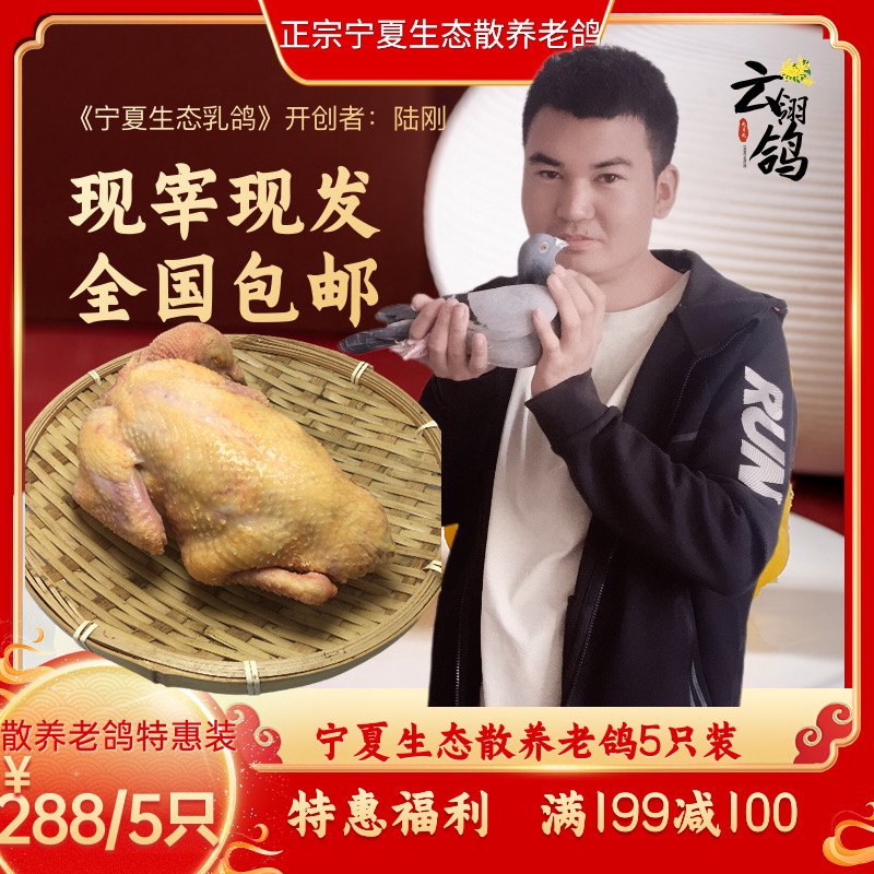 云翎鸽宁夏生态老鸽新鲜现杀老鸽肉纯散养原粮添加中草药特惠5只