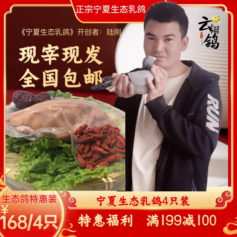 云翎鸽宁夏生态乳鸽新鲜现杀乳鸽肉五谷杂粮加中草药喂养特惠4只