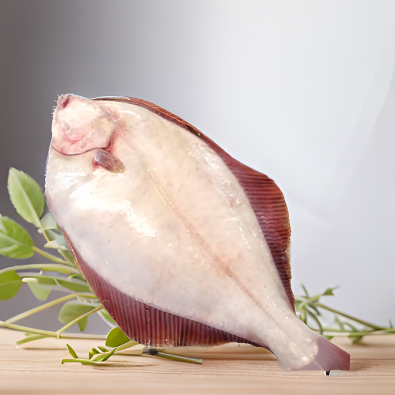 东港特产生鲜野生捕捞黄海速冻野生石匠鱼比目鱼550/650克2条包邮