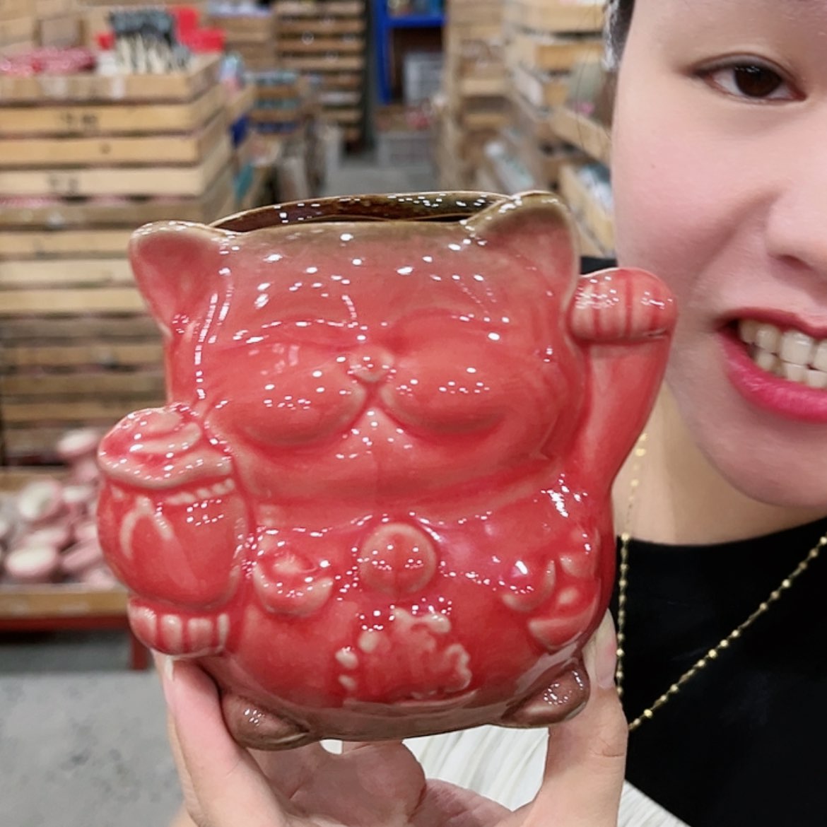 【闪购商品】红陶20CM以下