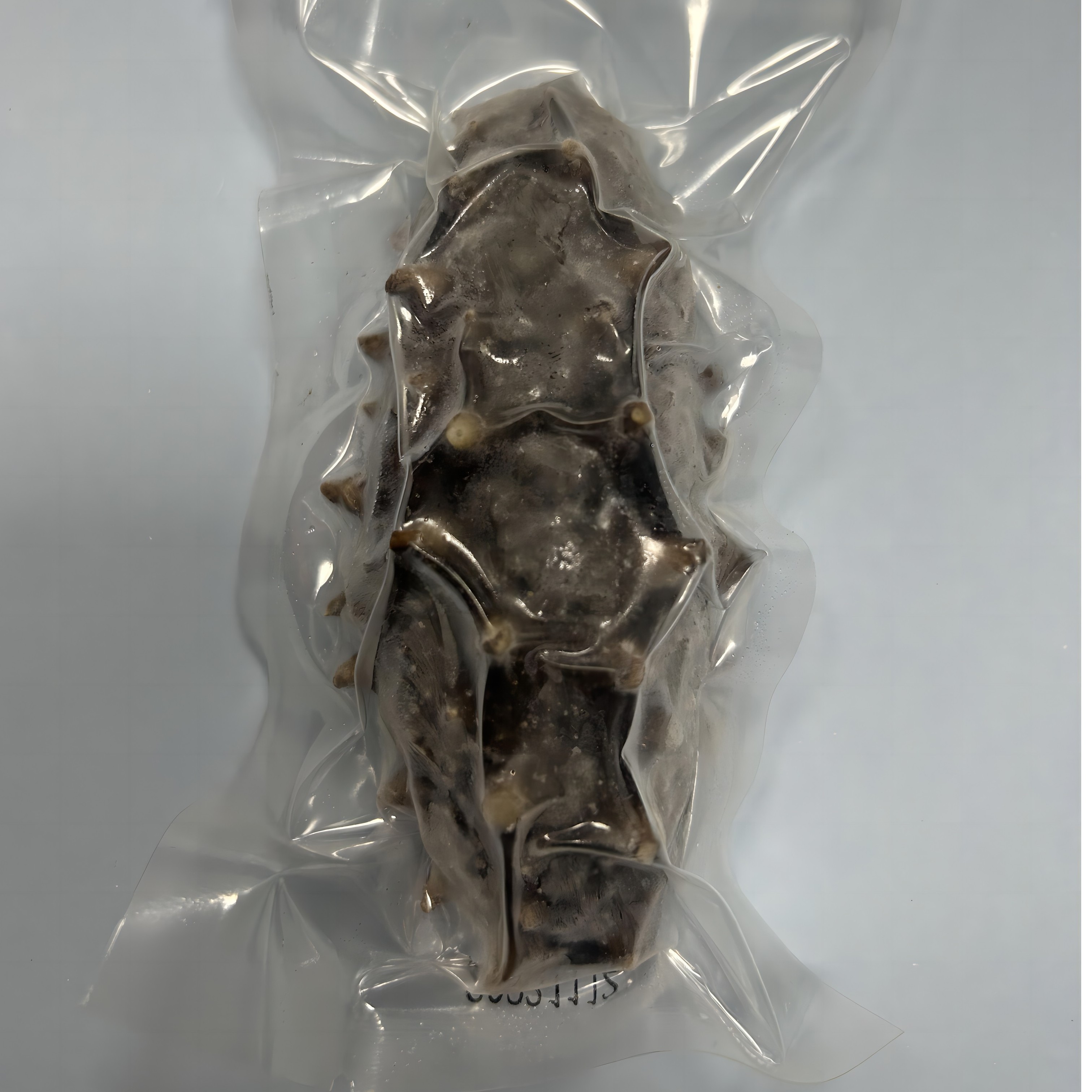 金水湾海参---即食刺参肉质肥厚工厂直供 体验价1根 营养滋补劲道