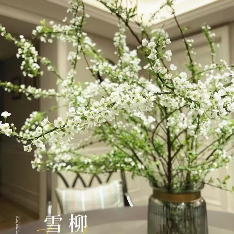 干支雪柳 鲜枝水培植物绿萝室内好养绿植卧室客厅水养雪柳鲜枝