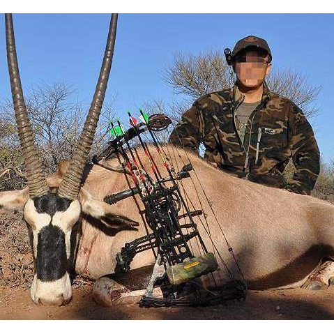 射程300复合弓滑轮弓反曲弓传统弓武神圣弓箭竞技弓70磅重弓射击