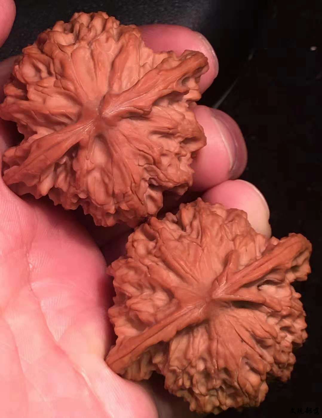 主营中高端文玩麻核桃