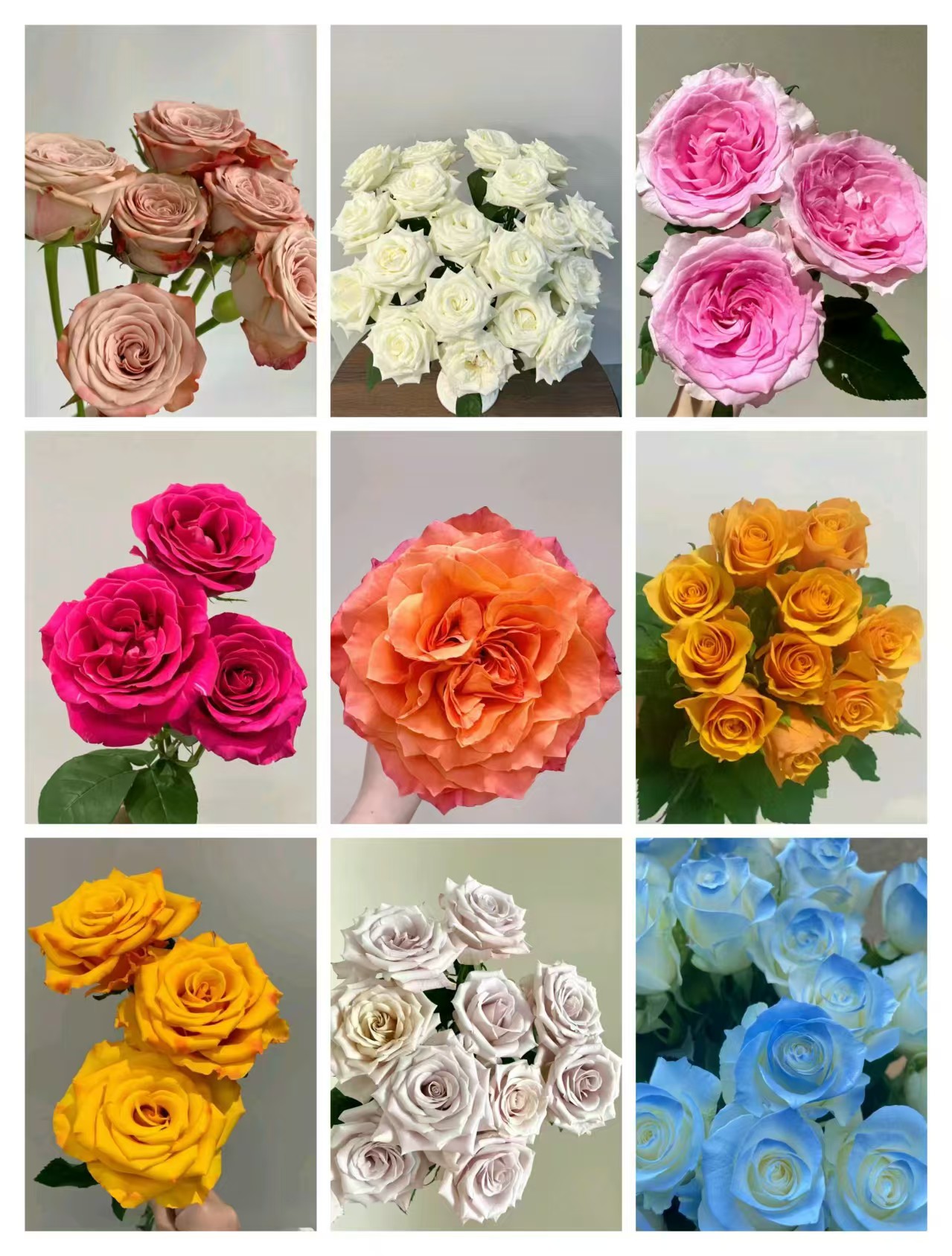 【一单有运费两单以上包邮】 鲜花玫瑰百合配草配花花店批发地摊