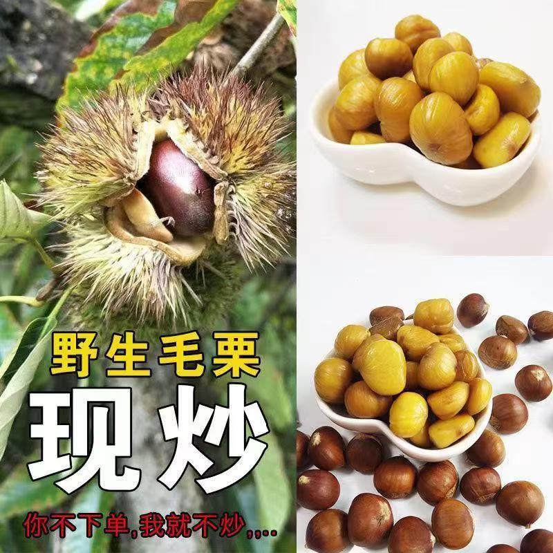 江西高山野生新鲜毛栗子糖现炒熟非迁西小油锥即食土板圆栗子现发