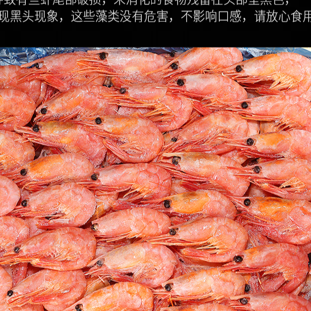 【新疆包邮】新鲜北极甜虾毛重1.5kg新鲜到货船熟化冻即食
