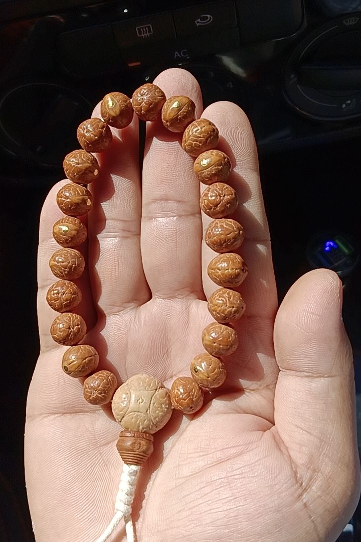 碟桩实心单圈，卡11-11.3，不带三通，皮质细腻油性足！