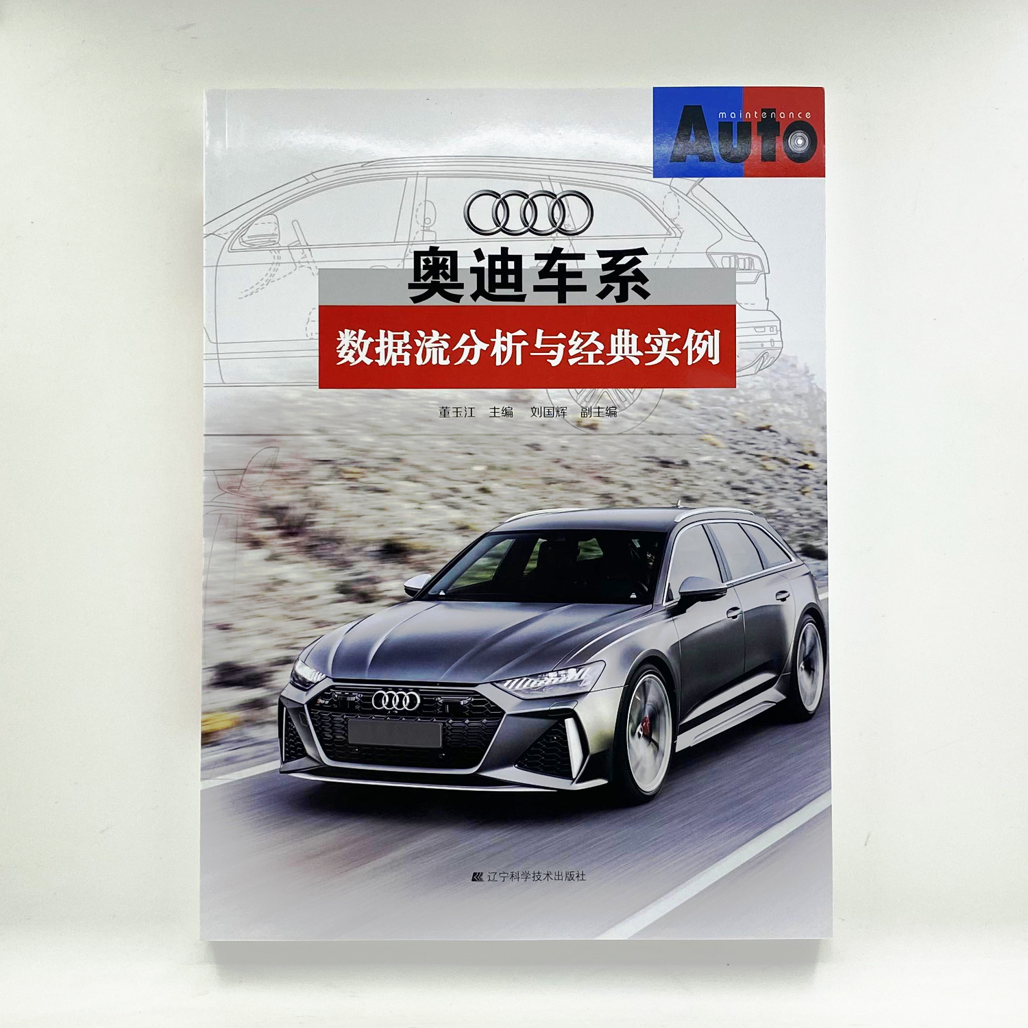 奥迪车系数据流分析与经典实例维修诊断保养功能