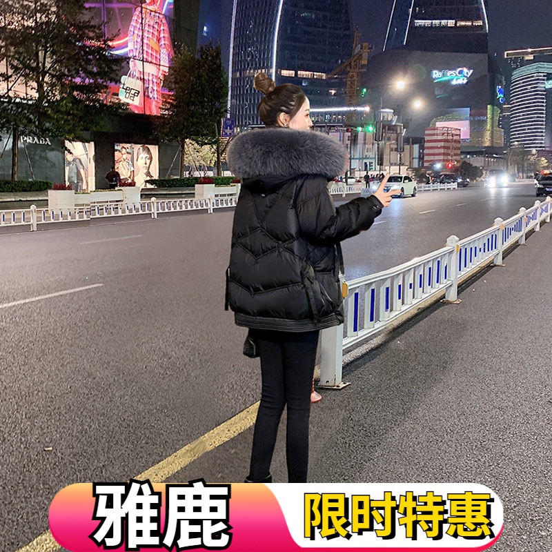 雅鹿2023年新款加厚韩版外套羽绒羽绒服女冬洋气短款羽绒服爆款小