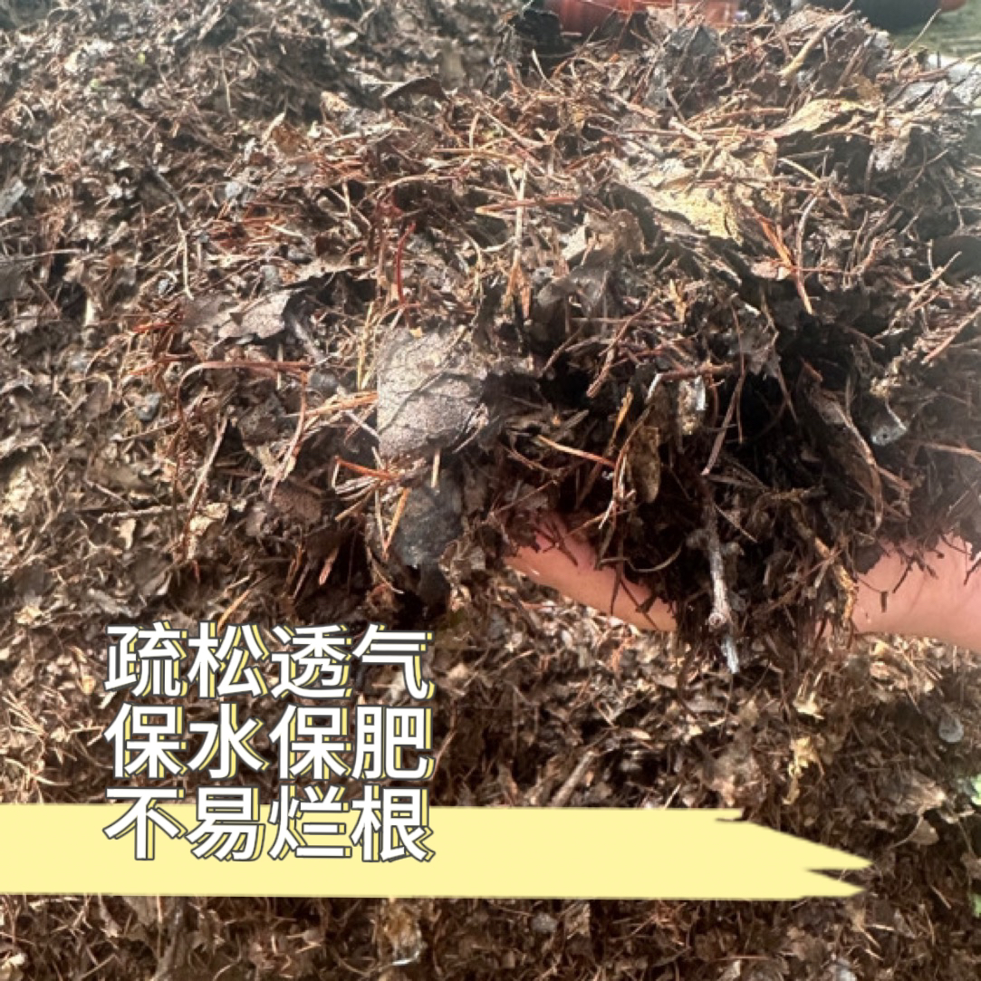 君子兰专用腐叶土5斤