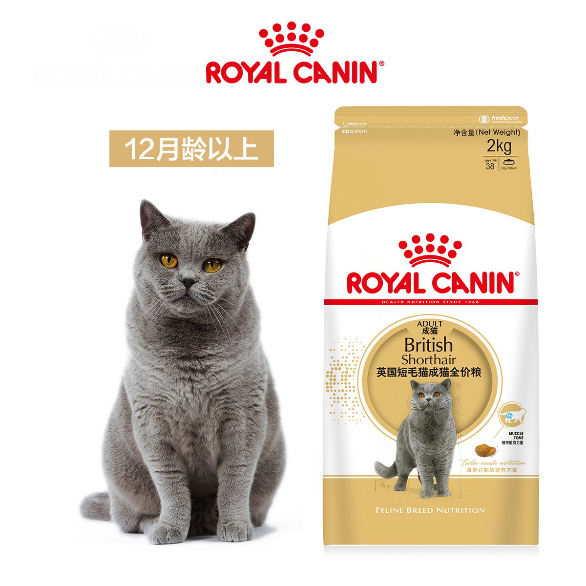 皇家bs34英国短毛成猫粮2kg蓝猫英短猫主粮