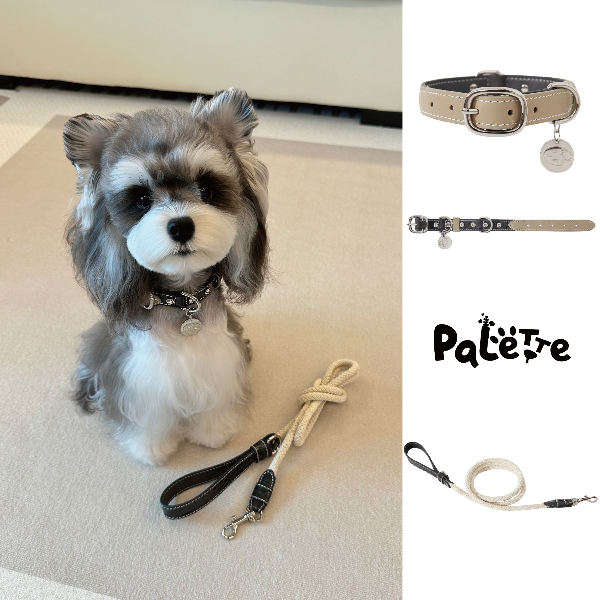 PalettePet秋冬宠物服装猫咪狗狗网红卡其色鳄鱼纹水钻项圈牵引绳