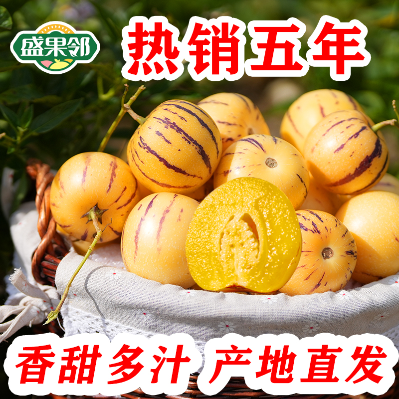 盛果邻 云南石林人参果圆果黄肉树上熟精选黄肉大果多汁新鲜水果