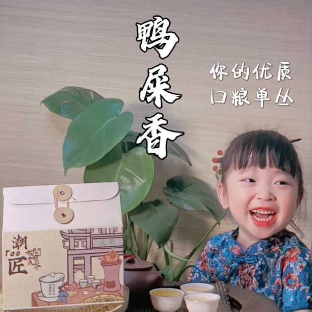 头春鸭屎香凤凰单丛茶潮州正宗凤凰单枞乌龙茶茶叶