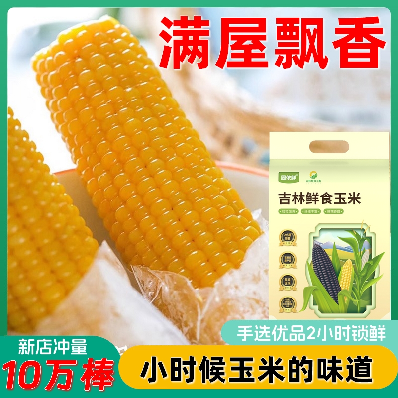 【新人专属】东北头茬黄糯玉米甜糯玉米共11根免费试吃两根5-5.5斤