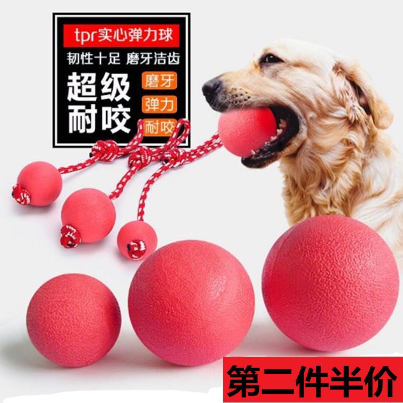 跳跳球薄荷猫猫球宠物狗狗解闷玩具球磨咬实心橡胶弹力球泰迪