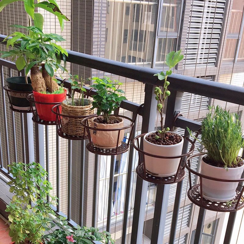 实木乌金木落地式置物多层阳台养花架盆栽植物室内吊兰绿萝花盆架